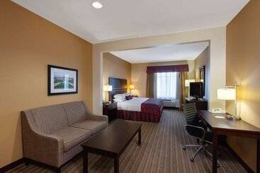 هتل Wingate By Wyndham Houston / Willowbrook