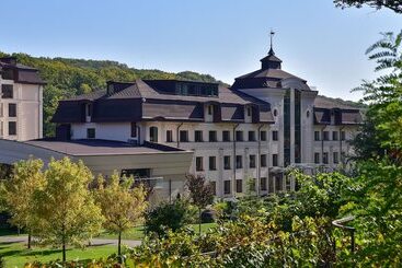 ホテル Irys By Derenivska Kupil