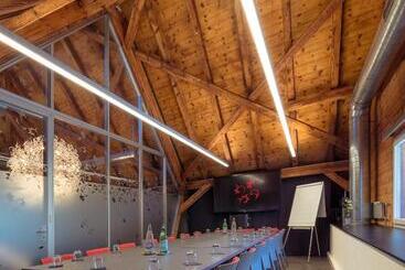 هتل Le Manoir Vionnaz