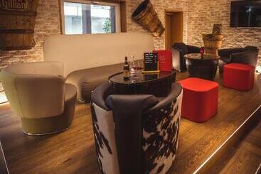 هتل Le Manoir Vionnaz