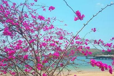 تختخواب و صبحانه Cerrito Tropical Eco Lodge