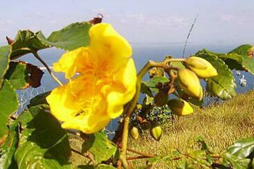 تختخواب و صبحانه Cerrito Tropical Eco Lodge