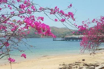 تختخواب و صبحانه Cerrito Tropical Eco Lodge