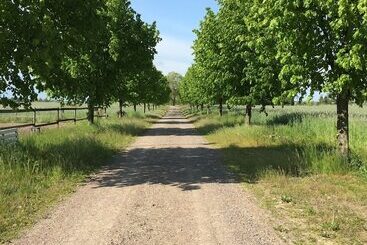 هتل Björkåsa Gård Bed & Box