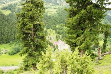 هتل Green Valley Savsat