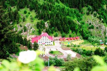 هتل Green Valley Savsat