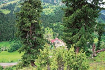 هتل Green Valley Savsat