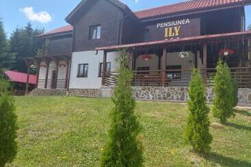 Pensiunea Ily