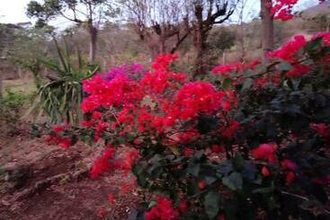 تختخواب و صبحانه Finca Montaña Sagrada