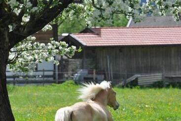 Отель Sonnenkaiser