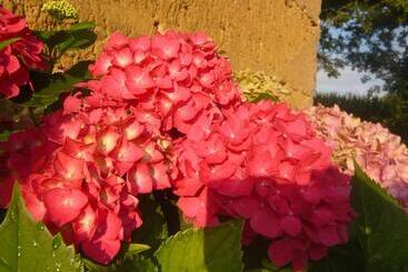 پانسیون Bed & Breakfast   Maison De Marie