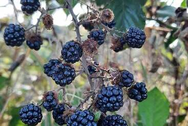 مبيت وإفطار L Echappée Trémoussante