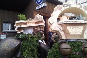 فندق Garni Traube B&b