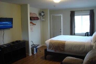 مُتل Paddock Inn