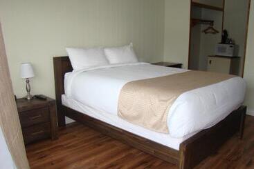 مُتل Paddock Inn