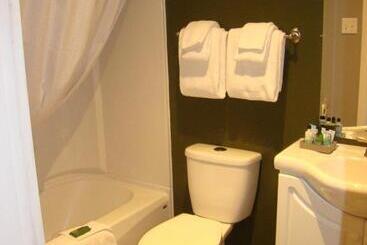 مُتل Paddock Inn