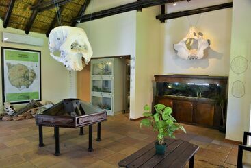 هتل Kwa Maritane Bush Lodge