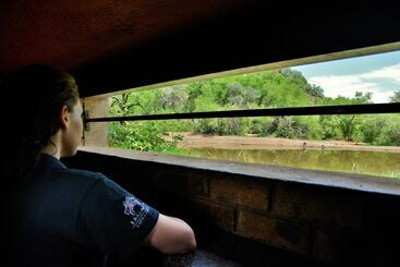 هتل Kwa Maritane Bush Lodge