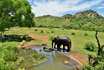 هتل Kwa Maritane Bush Lodge