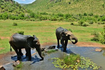 هتل Kwa Maritane Bush Lodge