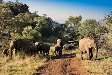 هتل Kwa Maritane Bush Lodge