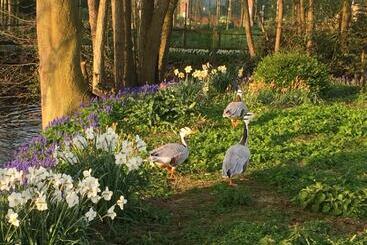 B&b De Rentmeesterhoeve