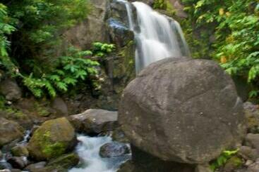 پانسیون Alojamentos Flores Island