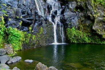 پانسیون Alojamentos Flores Island