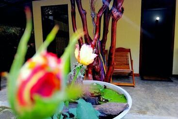 هتل The Wisdom Home