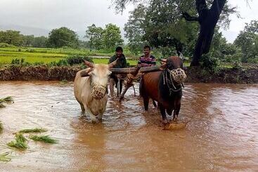 هتل Megh Malhar Agro Tourism
