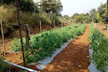 هتل Megh Malhar Agro Tourism