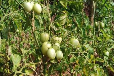هتل Megh Malhar Agro Tourism