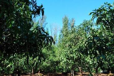 هتل Megh Malhar Agro Tourism