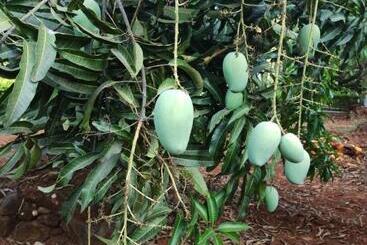 هتل Megh Malhar Agro Tourism