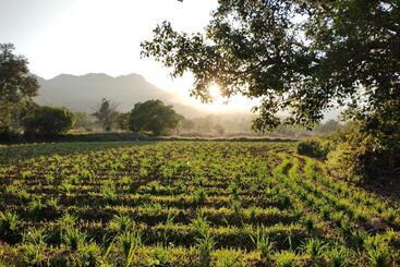 هتل Megh Malhar Agro Tourism