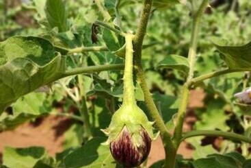 هتل Megh Malhar Agro Tourism