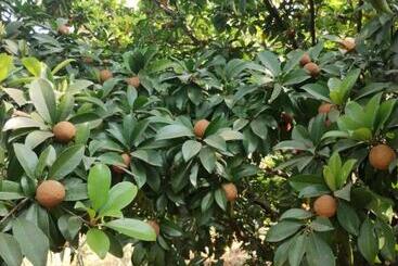 هتل Megh Malhar Agro Tourism