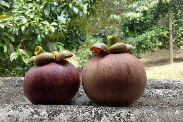 پانسیون Baan Keree Thara Khiri Wong