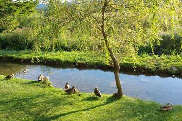 پانسیون Rustic Inn River