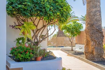Apartamentos Isla De Lobos   Adults Only