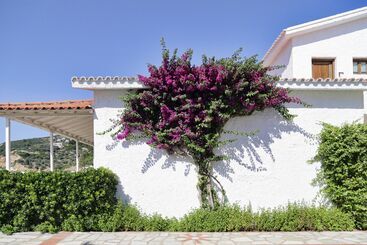 هتل Skopelos Village