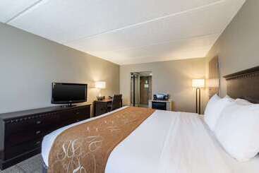 Hotell Comfort Suites Austin Airport