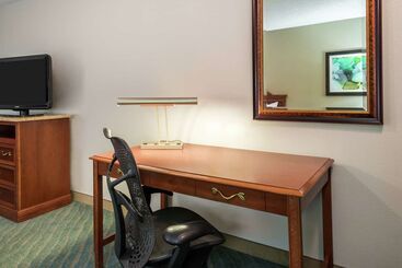 هتل Hilton Garden Inn Orlando International Drive North