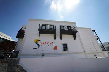 Salinas Beach Hotel Bodrum Boutique Concept