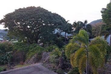 住宿加早餐  Kona Palace In Captain Cook