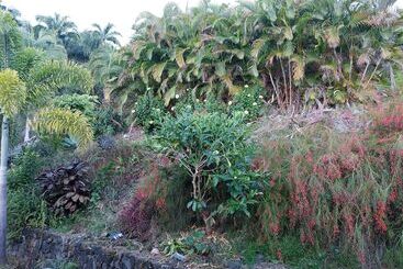 住宿加早餐  Kona Palace In Captain Cook