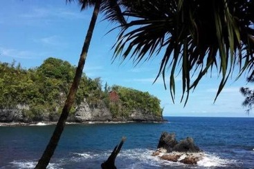 住宿加早餐  Kona Palace In Captain Cook