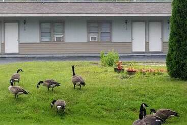 Becket Motel