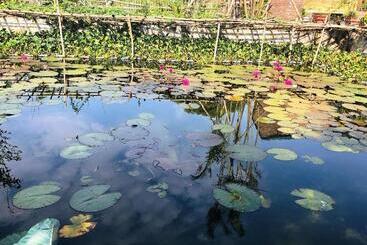پانسیون Ninh Binh Greenland Homestay
