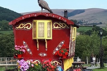 Rosie Traditional Gypsy Wagon